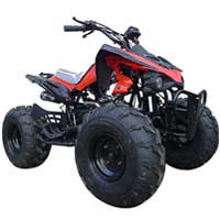 110cc Comet Sport ATV W/Reverse (Semi or Fully Auto)