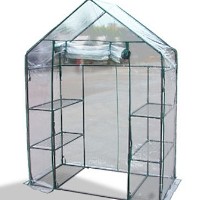 High Quality Mini Greenhouse Mid Walk-in Green House
