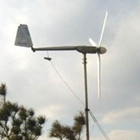 WG1500W 24V Wind Turbine Generator Wind Power System