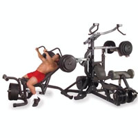 Freeweight Leverage Gym Workout Machine