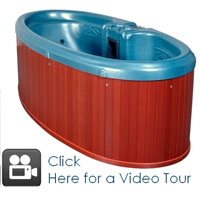 Great Sports 100 Plug N Play Spa