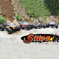 Sumo RC 1/24 Scale Electric Vehicles