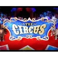 The Circus by Astro
