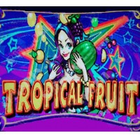 Tropical Fruit / Wild Fruit