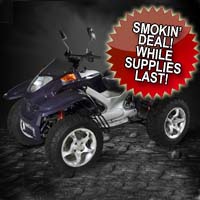 260cc Four Stroke Automatic Four Wheeler ATV (2007 Model Overstock, New in Crate!)