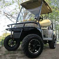 48V Real Tree Texture Leaf Club Car Precedent Lifted Electric Golf Cart
