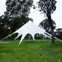 16.4 Foot Star Shaped Party Tent Canopy Gazebo