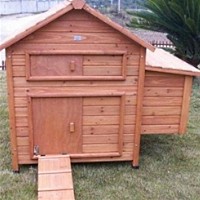 High Quality Chicken Coop with Slide Out Cleaning Tray