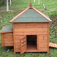 High Quality Chicken Coop with Nesting Box & Shingled Roof