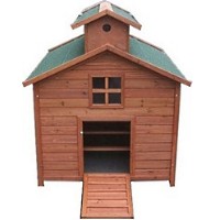 High Quality Chicken Coop House with 3 Internal Perches