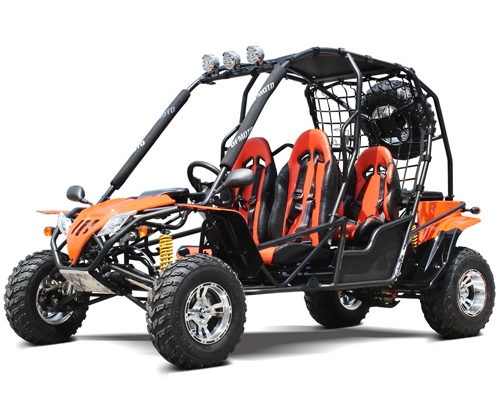 adult off road buggy
