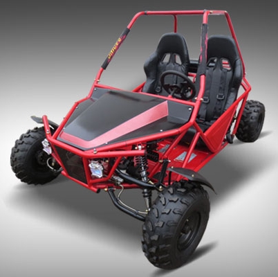 150cc-Ewalk-GoKart-DunBug_a.jpg