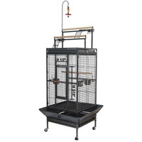 32x30x68 BLV DD-Ladder Bird CG