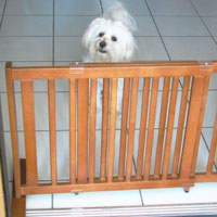 High Quality Small All Wood 21 Inch Freestanding Pet Gates