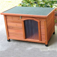 High Quality Small Slanted Roof House