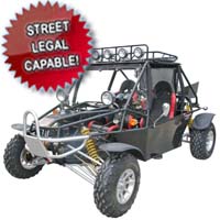 800cc Super Warrior Go Kart - Street Legal Capable!