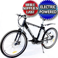 taotao electric mountain bike