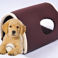 20" x 13" Small Cat/Dog Electric Heated Sleeper Tunnel Pet Bed - Coffee