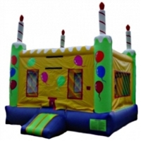 Commercial Grade Inflatable Birthday Jumper Bouncer Bouncy House