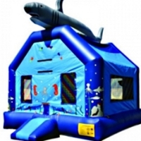 Commercial Grade Inflatable Shark Jumper Bouncer Bouncy House