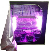 16 Site Hydroponic System Grow Room - Complete Grow Tent Kit - LED Grow Lights