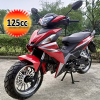 125cc Wolverine Motorcycle Moped Scooter - BD125-9