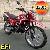 250cc Dirt Bike EFI 5 Speed Manual w/Electric & Kick Start - BD250-5-ll