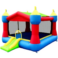 Frog Bounce House Bouncy House with Blower