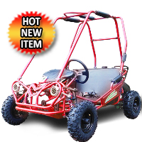 TrailMaster XRS+ 200 Go Kart Mini Size 170cc