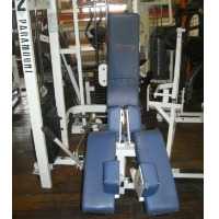 Refurbished Bodymaster Decline Bench