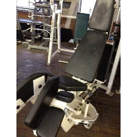 Refurbished Bodymaster Bent Knee Abdominal Machine