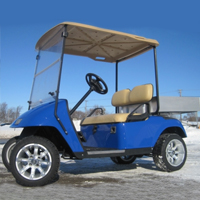 Custom Ez Go 36V Electric Utility Golf Cart With Aluminum Dump Bed