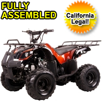110 Quad Coolster Brand New 110cc Mini Size Fully Auto ATV Four Wheeler - ATV-3050D Fully Assembled