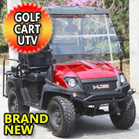 Gas Golf Cart UTV Hybrid Linhai Big Horn 200 GVX 4 Seater Side by Side UTV