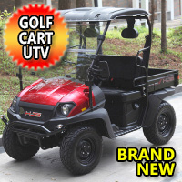 Brand New Gas Golf Cart UTV Hybrid Linhai Big Horn 200 VX Side by Side UTV