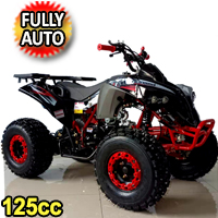 125cc Atv 125cc Mid Size Fully Automatic ATV Four Wheeler - MAX-125CC