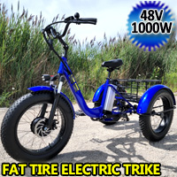 1000 Watt Electric Powered Fat Tire Tricycle Motorized 3 Wheel Trike Scooter Bicycle - Savage YLS Blue