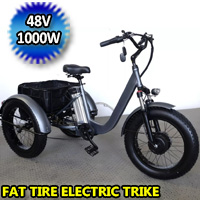 1000 Watt Electric Powered Fat Tire Tricycle Motorized 3 Wheel Trike Scooter Bicycle - YLS Savage