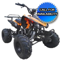 125cc Automatic 4 Stroke Chain Drive ATV w/ Reverse