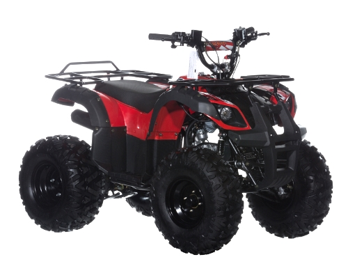 Bull 125cc Mid Size Semi Auto ATV Four Wheeler - PAK125-3