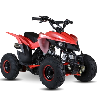110 Atv Fully Automatic Mini Size Sport 107cc ATV 4 Wheeler - KD-110A-1