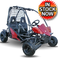 125cc Go Kart With 3-Speed Semi-Automatic w/Reverse & Electric Start - KD 125GKT