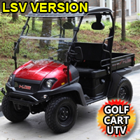 Gas Golf Cart UTV LSV Hybrid Linhai Bahama Big Horn 200 VX Side by Side Low Speed Vehicle UTV