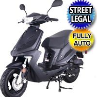 Tao Tao 50cc Fully Automatic Gas Moped Scooter - Speed 50