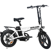 16" Electric Folding Bicycle 250 Watt Lithium Powered Bike