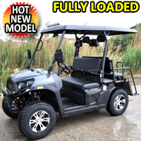 Gas Golf Cart Utility Vehicle UTV Rancher 200 EFI With Automatic Trans. & Reverse - GRAY